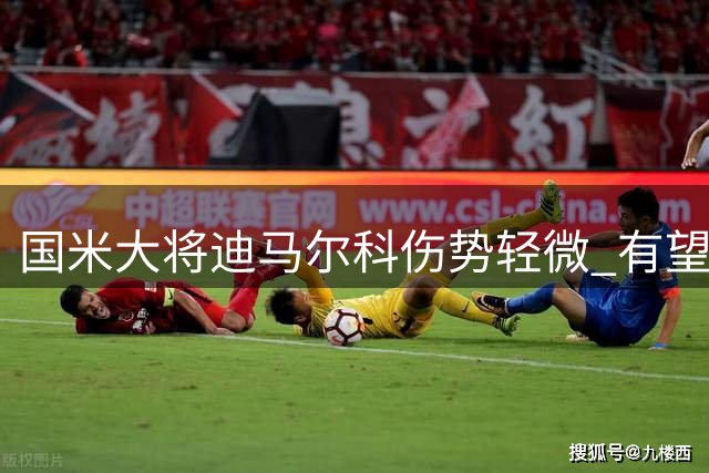 国米大将迪马尔科伤势轻微 有望随队出征伯纳乌